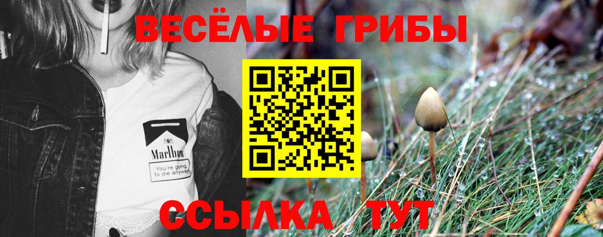 Каменск-Уральский  Псилоцибиновые грибы ЛСД  Вход с VPN 
